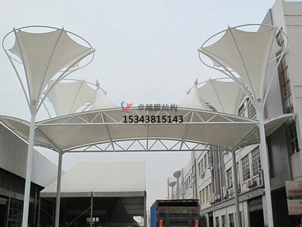 懷化膜結構公司【專業(yè)膜結構】