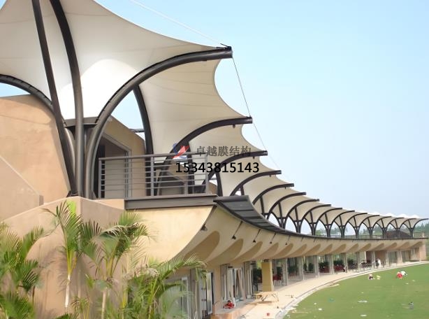 高爾夫膜結(jié)構(gòu)的相關(guān)知識點